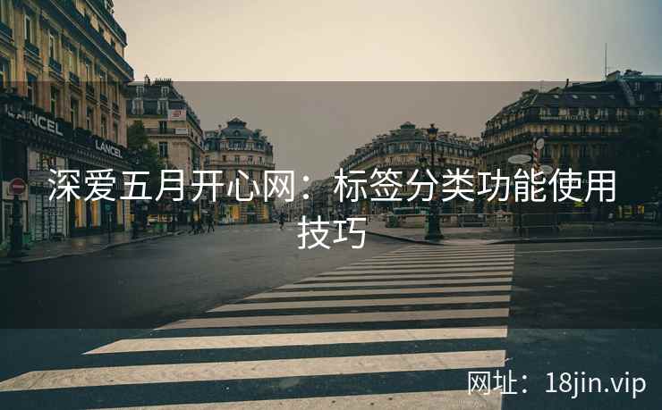 深爱五月开心网：标签分类功能使用技巧