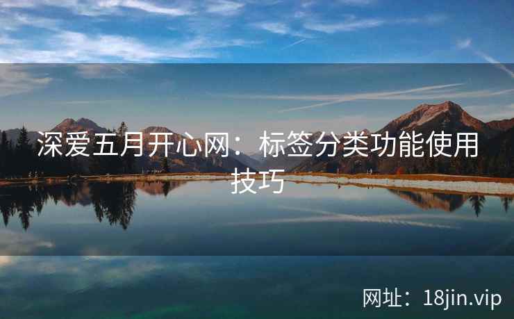 深爱五月开心网：标签分类功能使用技巧