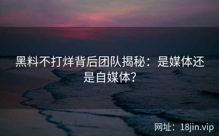 黑料不打烊背后团队揭秘：是媒体还是自媒体？
