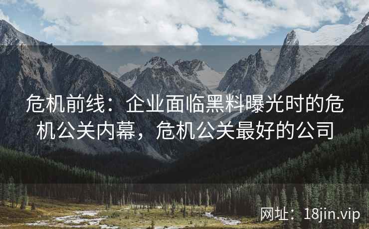 危机前线：企业面临黑料曝光时的危机公关内幕，危机公关最好的公司