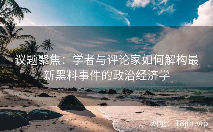 议题聚焦：学者与评论家如何解构最新黑料事件的政治经济学
