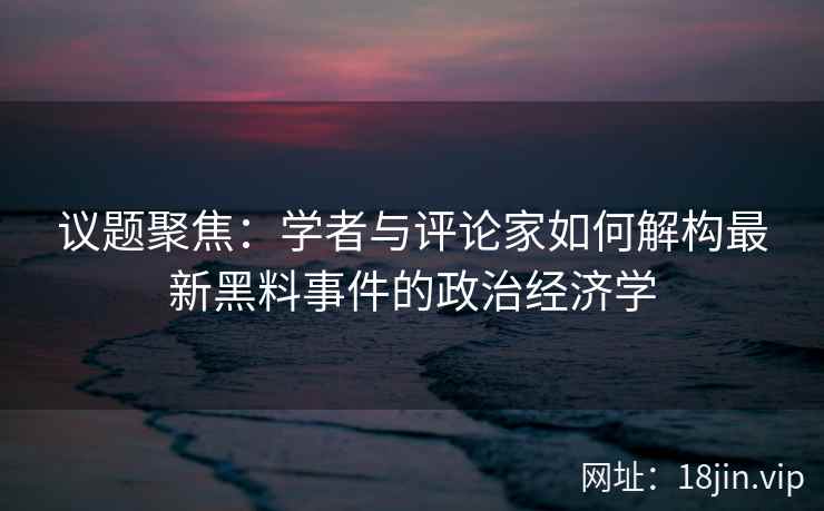 议题聚焦：学者与评论家如何解构最新黑料事件的政治经济学