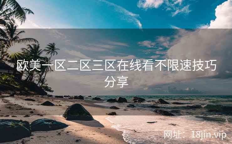 欧美一区二区三区在线看不限速技巧分享