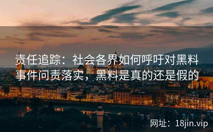 责任追踪：社会各界如何呼吁对黑料事件问责落实，黑料是真的还是假的
