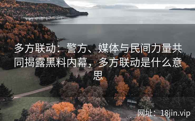 多方联动：警方、媒体与民间力量共同揭露黑料内幕，多方联动是什么意思