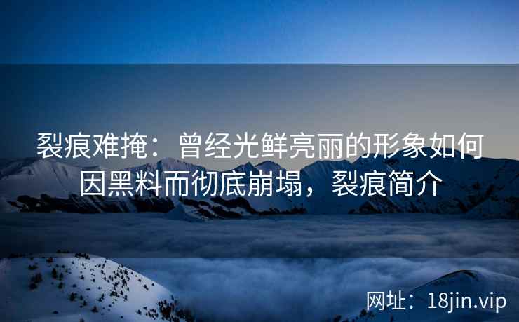 裂痕难掩：曾经光鲜亮丽的形象如何因黑料而彻底崩塌，裂痕简介