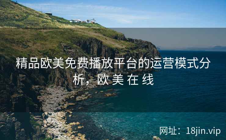 精品欧美免费播放平台的运营模式分析，欧 美 在 线