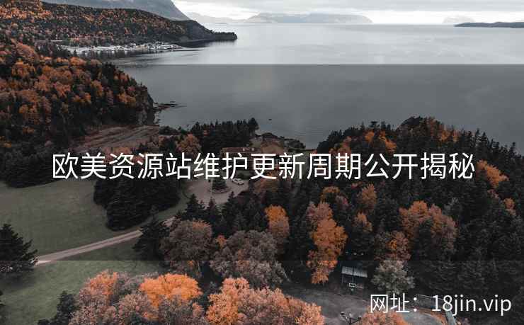 欧美资源站维护更新周期公开揭秘