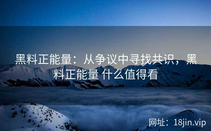 黑料正能量：从争议中寻找共识，黑料正能量 什么值得看