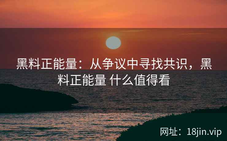 黑料正能量：从争议中寻找共识，黑料正能量 什么值得看