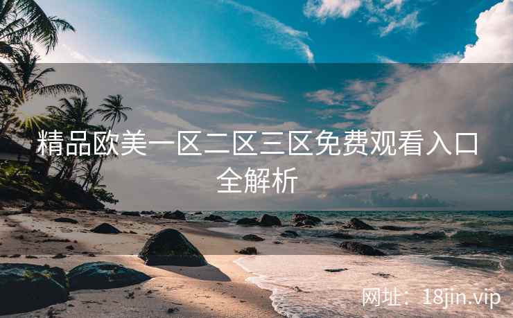 精品欧美一区二区三区免费观看入口全解析