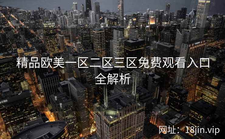 精品欧美一区二区三区免费观看入口全解析