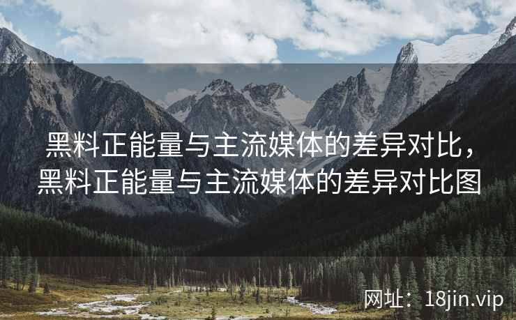 黑料正能量与主流媒体的差异对比，黑料正能量与主流媒体的差异对比图