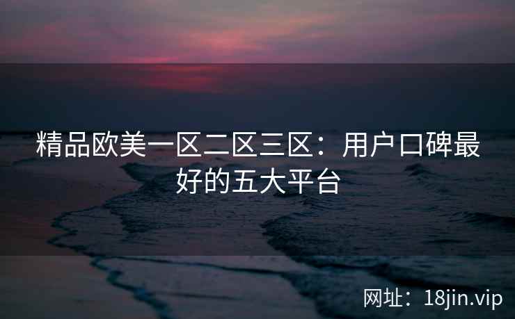 精品欧美一区二区三区：用户口碑最好的五大平台