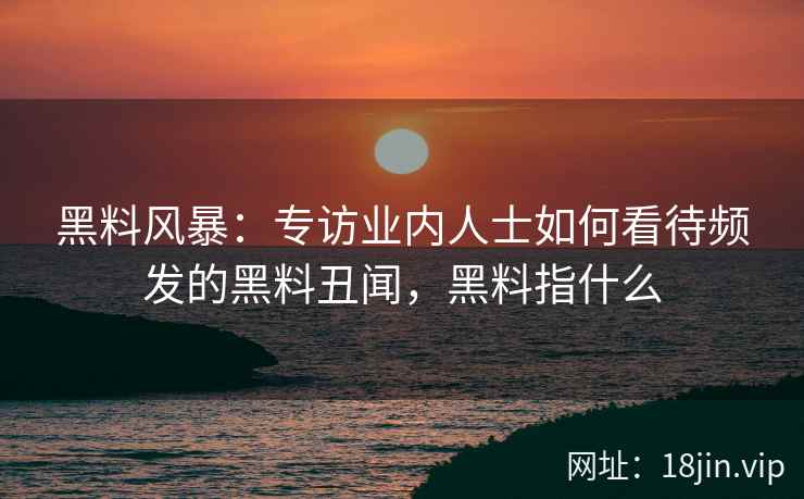 黑料风暴：专访业内人士如何看待频发的黑料丑闻，黑料指什么
