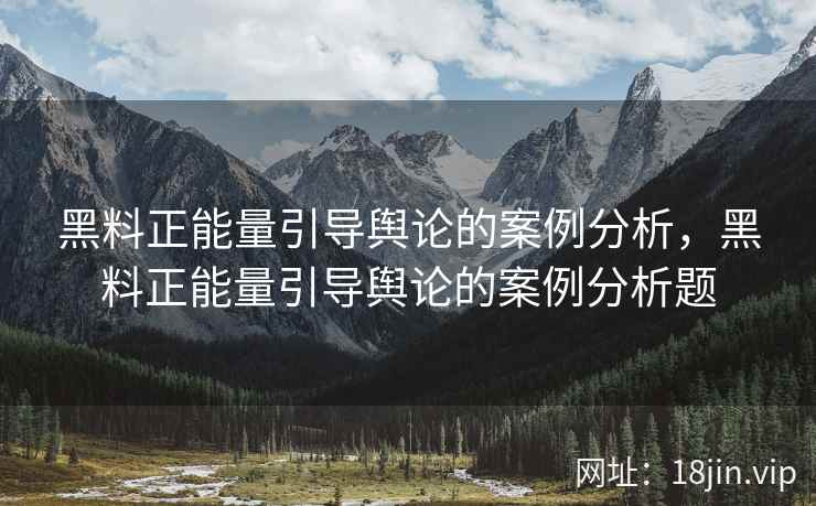 黑料正能量引导舆论的案例分析，黑料正能量引导舆论的案例分析题