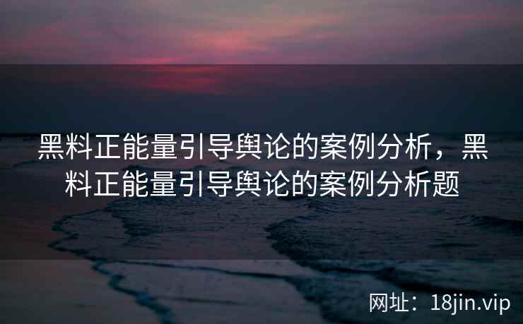 黑料正能量引导舆论的案例分析，黑料正能量引导舆论的案例分析题