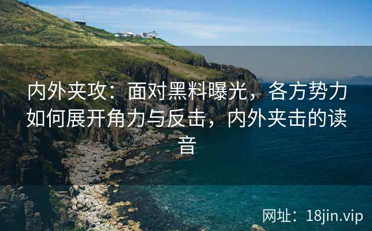 内外夹攻：面对黑料曝光，各方势力如何展开角力与反击，内外夹击的读音