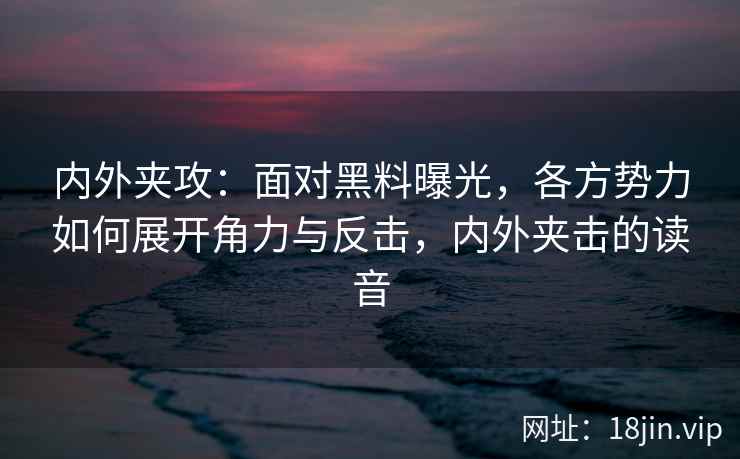 内外夹攻：面对黑料曝光，各方势力如何展开角力与反击，内外夹击的读音