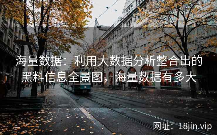 海量数据：利用大数据分析整合出的黑料信息全景图，海量数据有多大