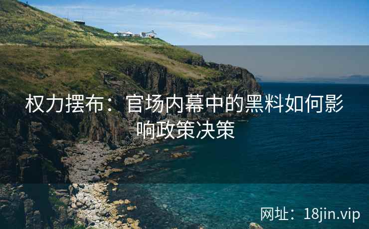 权力摆布：官场内幕中的黑料如何影响政策决策