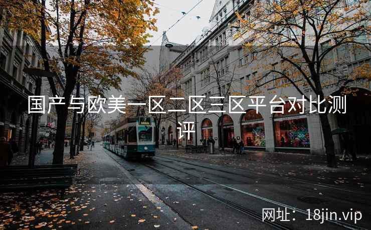 国产与欧美一区二区三区平台对比测评