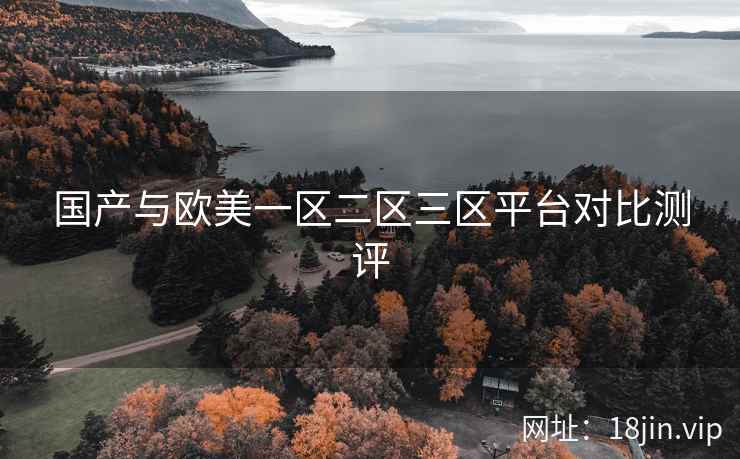国产与欧美一区二区三区平台对比测评