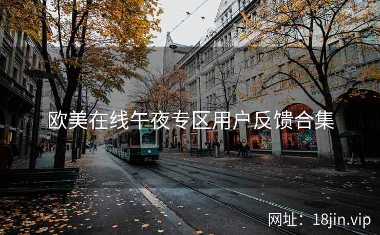 欧美在线午夜专区用户反馈合集