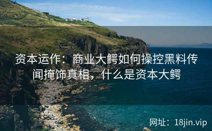 资本运作：商业大鳄如何操控黑料传闻掩饰真相，什么是资本大鳄